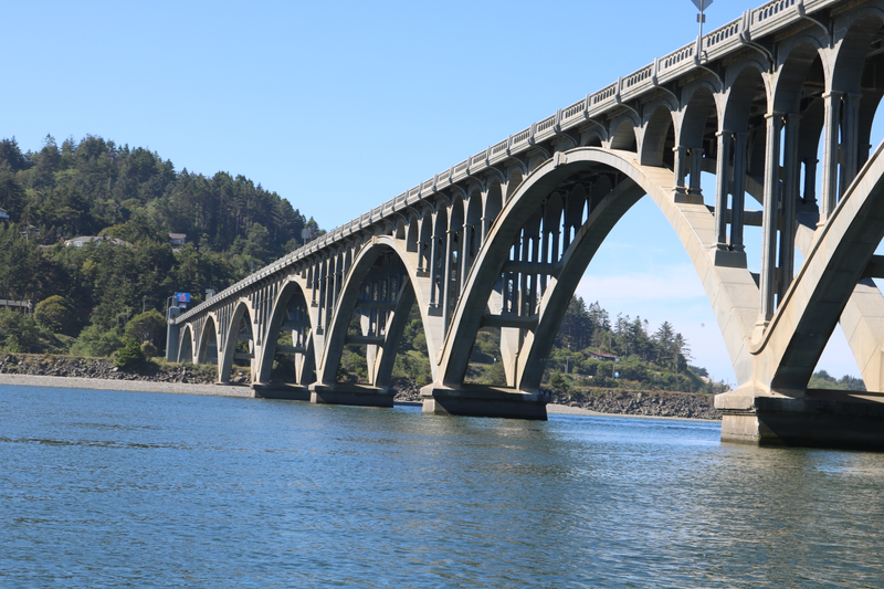 Illustration for article titled Rogue River morning post